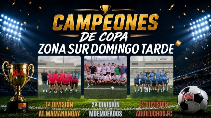 CAMPEONES DE COPAS. ZONA SUR DOMINGO TARDE
